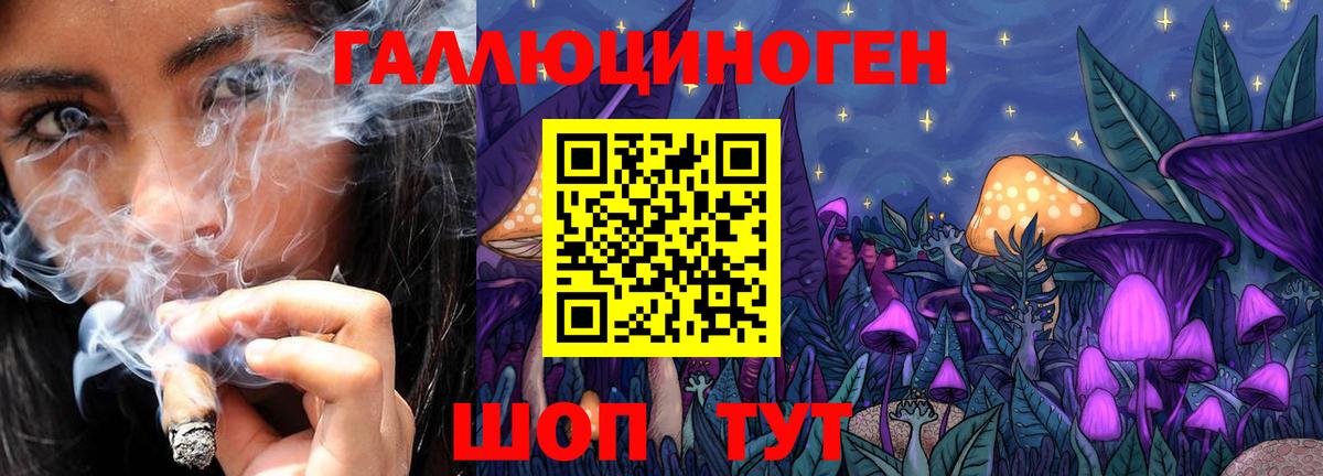 Галлюциногенные грибы Psilocybe Ярцево